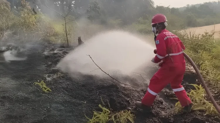 Kualitas Udara Memburuk, Pemprov Sumbar Perkuat Antisipasi