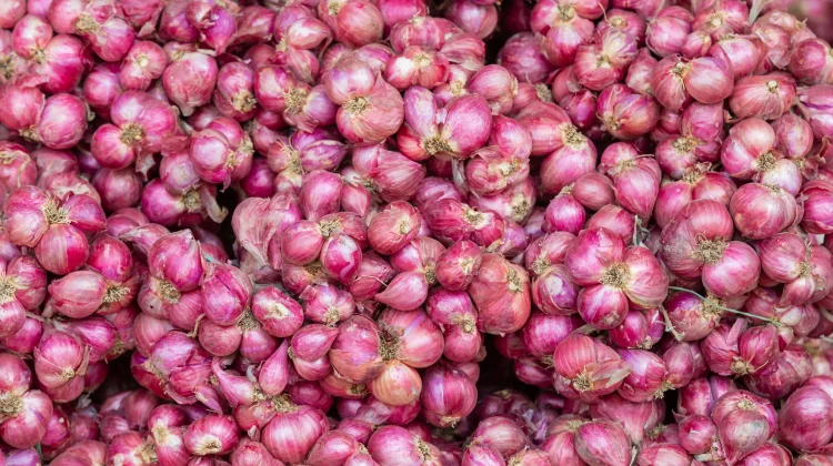 Bawang Merah Tak Sekadar Bumbu, Ini Manfaatnya bagi Kesehatan