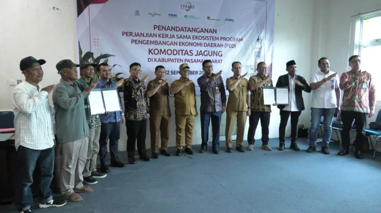 Pemkab Pasbar dan OJK Perkuat Ekosistem Pembiayaan Jagung