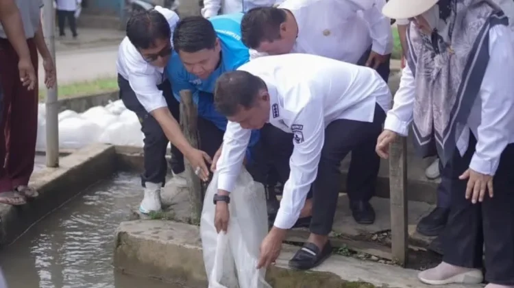 Bupati Solok Salurkan Bantuan Bibit Ikan dari Presiden