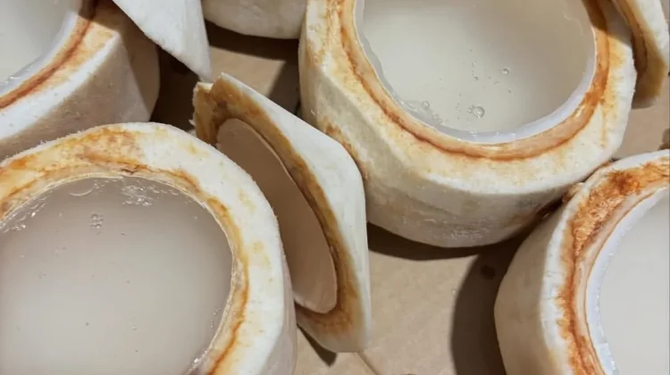 Manfaat Komsumsi Air Kelapa untuk kesehatan