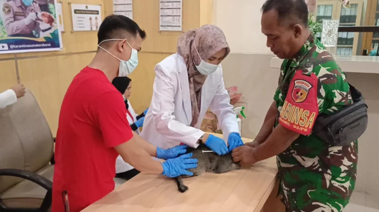 Karantina Sumbar Vaksinasi Hewan Peringati Hari Karantina ke-149