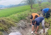 Sinergi ASN dan Warga: Pemko Pariaman Gelar Goro Massal