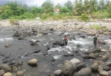 Ikan Larangan Tradisi Menjaga Ekosistem Perairan