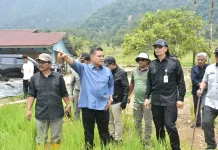 Lahan Pertanian di Koto Kaciak Agam 69 Hektare Dipulihkan Pascabencana