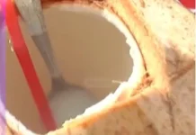 Beberapa Pilihan Minuman Sehat untuk Buka Puasa