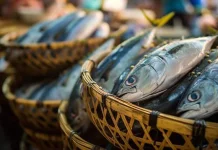Peran Nelayan Penting, Ikan Jadi Sumber Gizi bagi Masyarakat