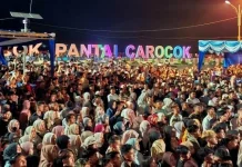 Miliaran Rupiah Berputar di Carocok Painan, PAD Pessel Terdongkrak