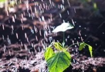 Fakta tentang Kecepatan Rintik Hujan
