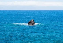 Mengapa Kadar Garam Perairan Atlantik Mengalahkan Pasifik