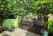 Manfaat Pepohonan di Sekitar Rumah