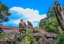Satpol PP Padang Bersihkan Pohon Tumbang Timpa Rumah Warga di Ganting