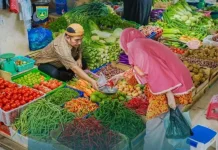 Pasokan Meningkat, Harga Cabai di Padang Panjang Turun Signifikan