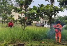 DLH Padang Intensifkan Penataan Lingkungan Balai Kota