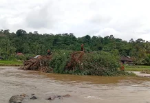 Satu Korban Terseret Arus Banjir di Pasaman, Masih Hilang