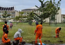 DLH Padang Jaga Kebersihan di Pusat Pemerintahan