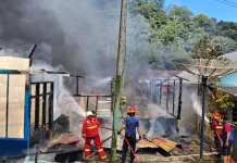 Rumah Terbakar di Seberang Palingam Padang, Kerugian Capai Setengah Miliar