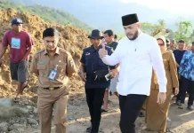 Fadly Amran Cek Progres Perbaikan Sawah di Gunung Sarik