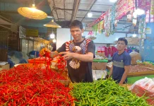Harga Cabai Merah Berfluktuasi akibat Perbedaan Lokasi Pemasok