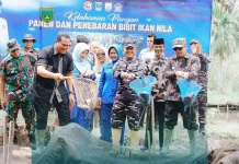 Wako Hendri Arnis Ikuti Panen Raya Ikan Nila di Pariaman