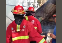 Kandang Sapi di Padang Terbakar, Kerugian Diperkirakaan Rp80 Juta
