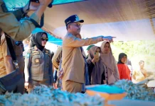 Relokasi Pasar Pekan Selasa di Solsel Perkuat Ekonomi Rakyat