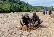 Penanaman Pohon Upaya Pemulihan Lingkungan Pascabencana