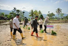 Kemendagri Apresiasi Progres Rehabilitasi Lahan Terdampak Bencana Sumbar