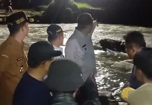 Bupati Padang Pariaman Perintahkan Pembangunan Jembatan Darurat di Batang Anai