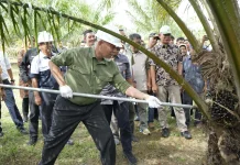 Dharmasraya Matangkan Hilirisasi Kelapa Sawit Dukung Program Presiden