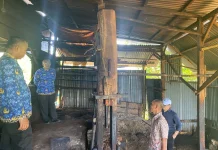 Pantau Produksi Gambir, Plt. Kadis Pertanian Pessel Tinjau Rumah Kempa di Sutera