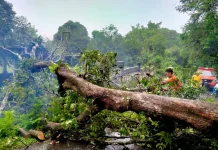 Warga diminta Waspadai Potensi Longsor dan Pohon Tumbang