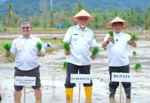 Rehabilitasi Lahan Rusak Ringan dan Sedang di Sumbar Tuntas