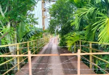 Butuh Rp5 Miliar, Pemkab Pessel Ajukan Proposal Pembangunan Jembatan Pasar Baru