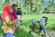 PKK Agam Dorong Pemanfaatan Lahan Tidur jadi Sumber Ekonomi Masyarakat