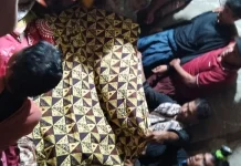 Pencari Lokan Ditemukan MD setelah Diterkam Buaya di Pasbar