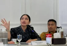 Bupati Dharmasraya Audiensi di Bappenas RI Usulkan PSN dan Feeder Tol Dharmasraya