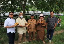 Pemko Sawahluto Dukung Riki Ekoni Raih Penghargaan Kalpataru 2026