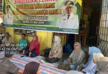 Pesisir Selatan Gelar Bintek Penangkaran Benih Padi Bersertifikat