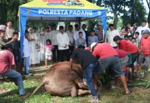 Polresta Padang Gelar Pemotongan Hewan Kurban Iduladha 1447 H
