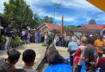 Warga Pasbar Antusias Saksikan Penyembelihan Hewan Kurban Bantuan Presiden