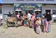 Korem 032/Wbr Salurkan 3 Ekor Sapi Kurban Bantuan Kasad