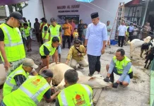 Kurban Terakhir di Ranah Minang, Dandim Agam Pamit di Sela Iduladha