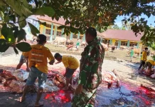 Babinsa Koramil 08/Sungai Geringging Kawal Kurban 52 Ekor Sapi