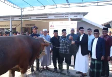 Jumlah Hewan Kurban di Pesisir Selatan Meningkat