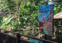 Etika Mengunjungi Kebun Binatang