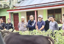 Bupati Mentawai Tekankan Nilai Gotong Royong saat Penyaluran Hewan Kurban