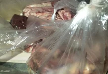 DLH Padang Soroti Tingginya Penggunaan Plastik Sekali Pakai pada Idul Adha 1447 H