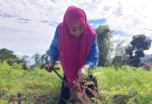 Tinjau Persiapan Lomba PKK Sumbar, Nagari Sungai Pua Maksimalkan Potensi