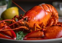 Keunikan Sistem Sirkulasi Lobster yang Berdarah Biru